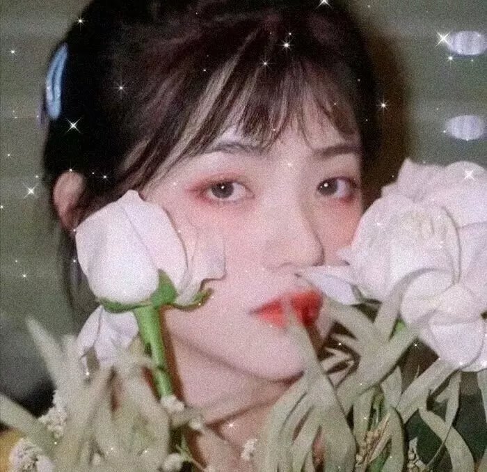 孤胆义侠